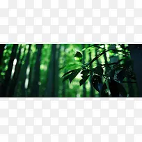 清新背景