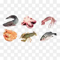 各种海鲜类食品
