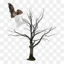 干枯的树和蝙蝠