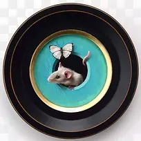 盘子里的老鼠