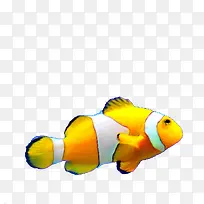 黄色小丑鱼