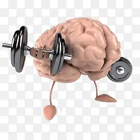 运动的大脑