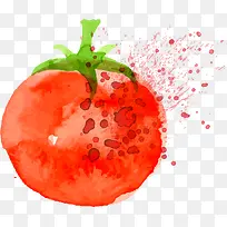 矢量红番茄