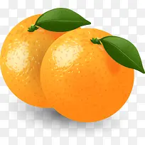 矢量手绘两个橙子
