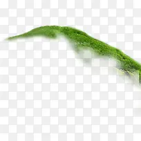 草坪