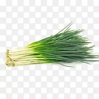 一把葱蔬菜