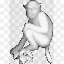 十二生肖猴