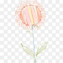 向日葵花朵手绘图