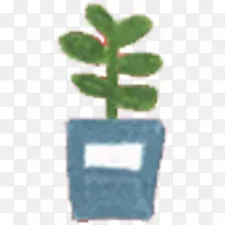 插画油画盆栽植物效果