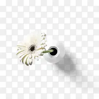 花瓶盛开白色花朵