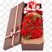 盒装红色康乃馨