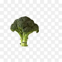 站着的西兰花