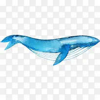 手绘卡通蓝色鲸鱼