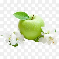 青苹果梨花图片素材