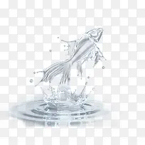 创意水状金鱼