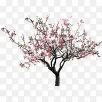 粉色春日桃树设计
