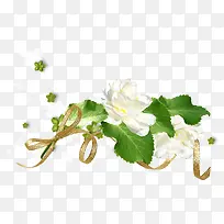 白花