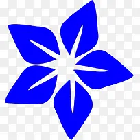 蓝色五星花