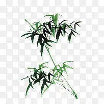 彩绘植物竹子水墨竹子