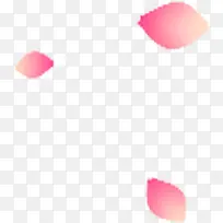 三片粉色花瓣飞舞
