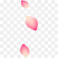三片粉色花瓣
