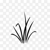 绘画植物 小草 禾苗 黑白