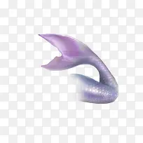 紫色美人鱼尾巴