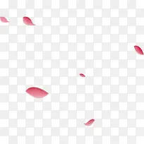 粉红花瓣漂浮飘落不规则装饰