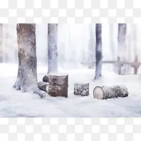 树木枯枝雪景冬天的气息