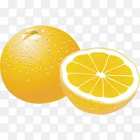 圆橙子矢量