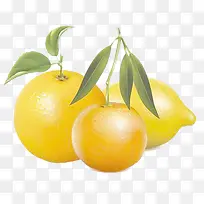 柑橘水果免抠素材