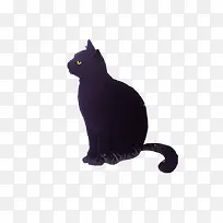 高贵黑色猫咪