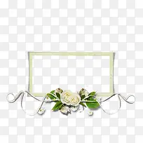 植物花卉边框素材花卉边框插画