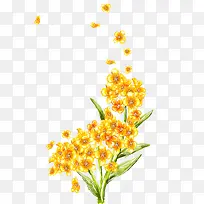 黄色的花瓣吹落