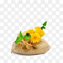 麻布袋里装正的黄色菊花