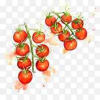 水彩番茄