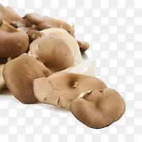 秀珍菇蘑菇