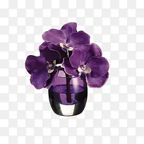 一束紫色的花