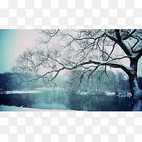 冬季湖面树林风景