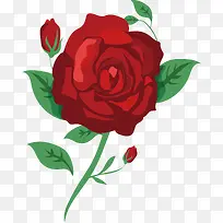 手绘红色玫瑰设计