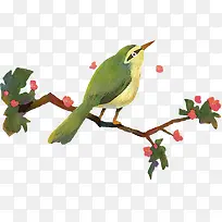 水彩画树枝上的翠绿小鸟