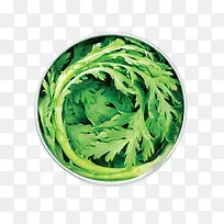 芹菜新鲜菜