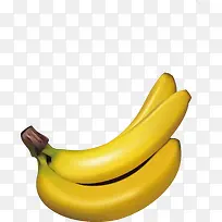 香蕉装饰设计矢量