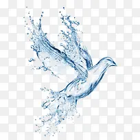 水珠创意液体水鸟造型