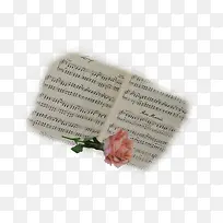 写满乐谱的笔记和一朵小花