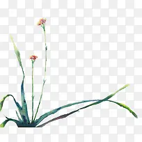 彩绘兰花草手绘古风