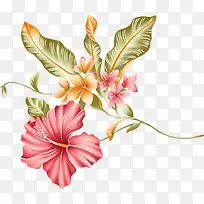 线描花卉花卉画 手绘花朵