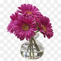 花草玫瑰花瓶子里的花