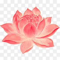 创意合成手绘红色的莲花