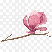 彩绘的桃花